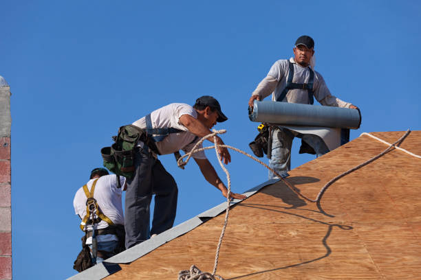 Best Metal Roofing Contractor  in Kalona, IA