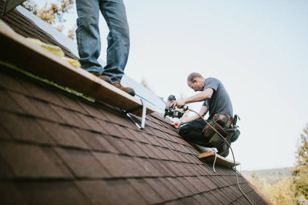 Best Flat Roof Repair Services  in Kalona, IA